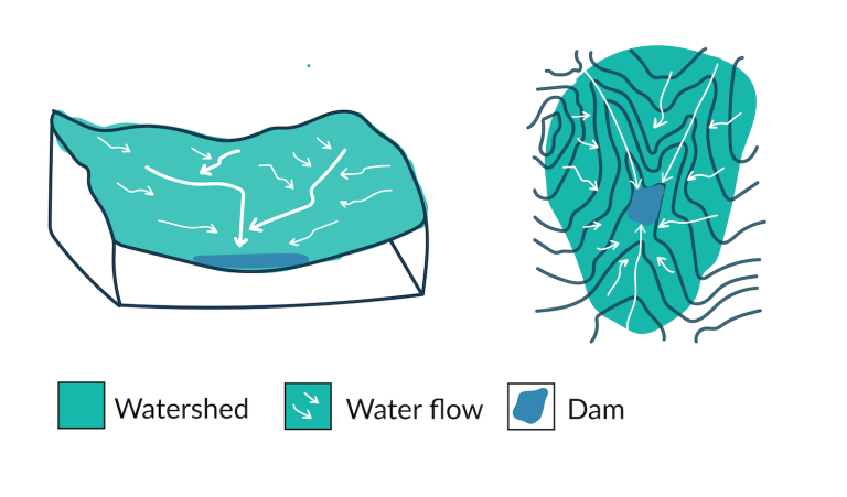 Watersheds 101: The Key to a Cleaner, Healthier Dam or Lake – Water ...
